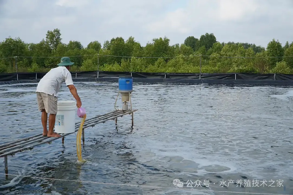 從精選到投喂，實(shí)現(xiàn)成本直降 20%